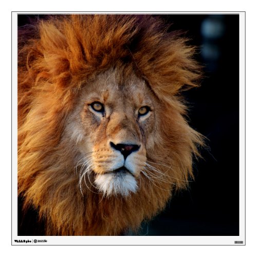 Lion_20180712_by_JAMFoto Wall Decal