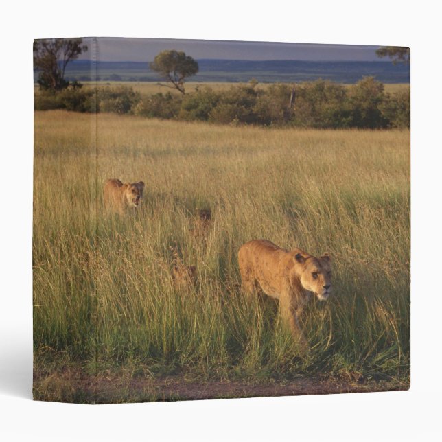 Lion 2 binder (Front/Spine)