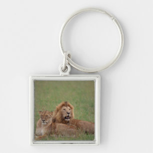 Lion 2 keychain