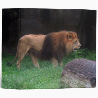 Lion 3 Ring Binder