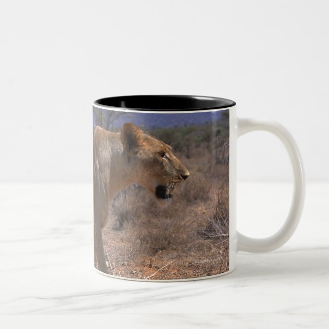 Lion 3 Two-Tone coffee mug (Right)