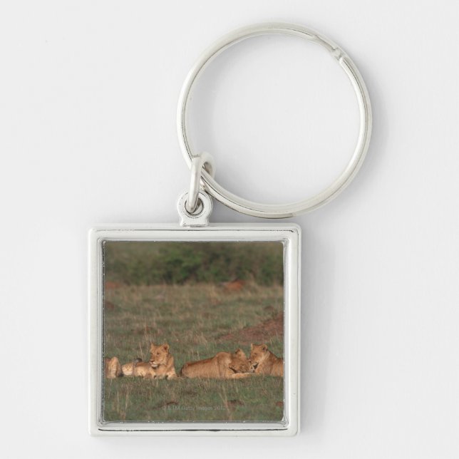 Lion 4 keychain (Front)