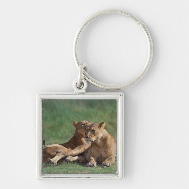 Lion 5 keychain (Front)