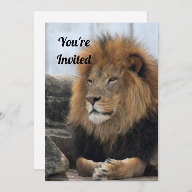 Lion 6880 Birthday Invitation (Front/Back)
