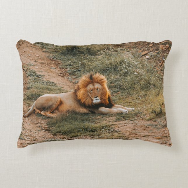 LION ACCENT PILLOW (Front)