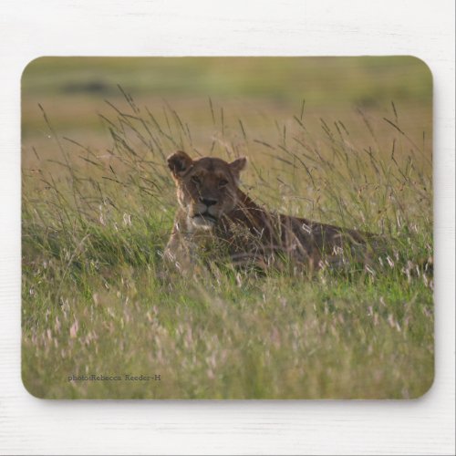 Lion Africa Savannah Mouse Pad