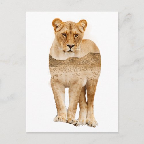 Lion African Double Exposure  Postcard