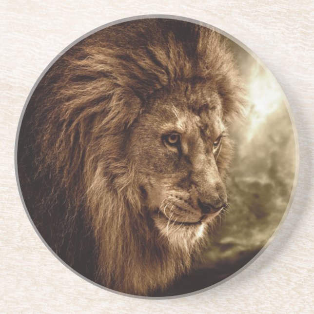 Lion against stormy sky coaster (Front)