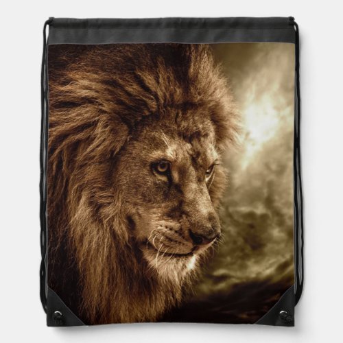 Lion against stormy sky drawstring bag