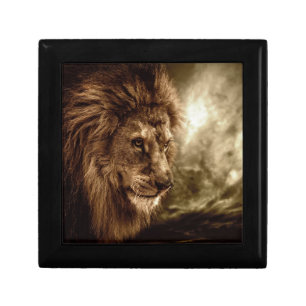 Lion against stormy sky gift box