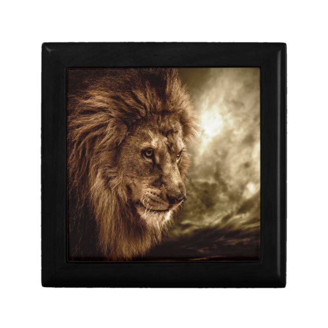 Lion against stormy sky gift box (Front)