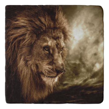Lion Against Stormy Sky Trivet by wildlifecollection at Zazzle