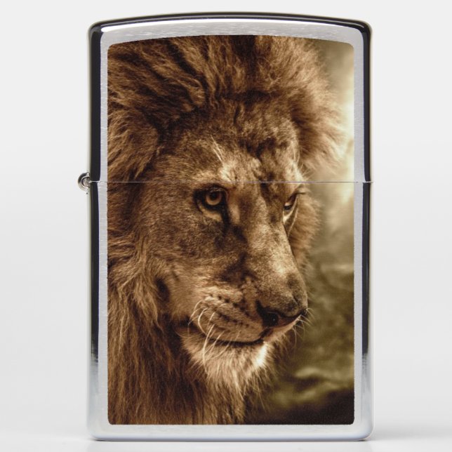Lion against stormy sky zippo lighter (Front)