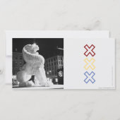 Lion Amstergram (Front)