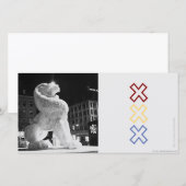 Lion Amstergram (Front/Back)