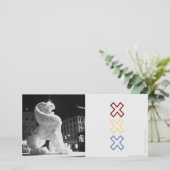 Lion Amstergram (Standing Front)