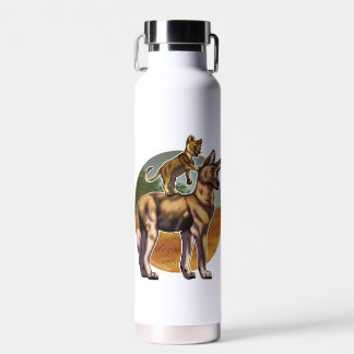 Lion and African Wild Dog Friends Water Bottle