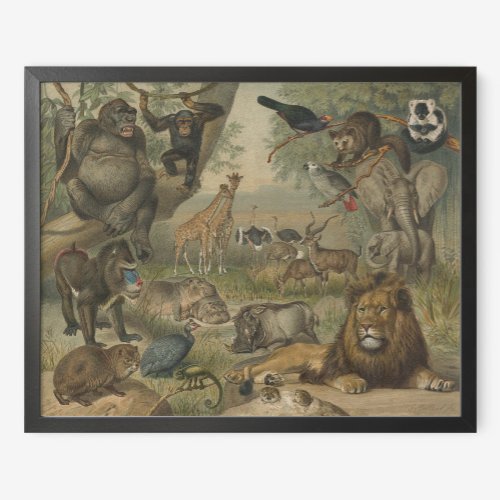 Lion and Animal Friends in Africa Poster