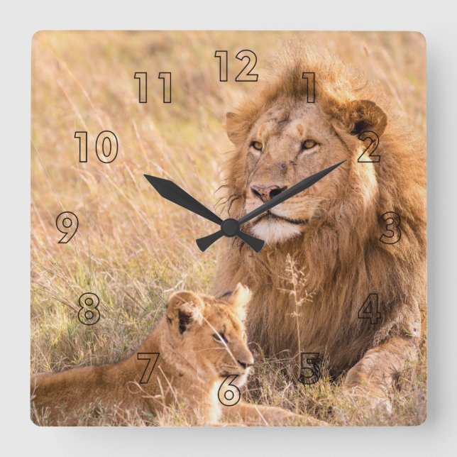 Lion and Her Cub Square Wall Clock (Front)