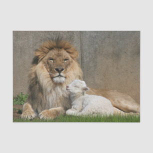 Lion and lamb Christmas Tissue Paper