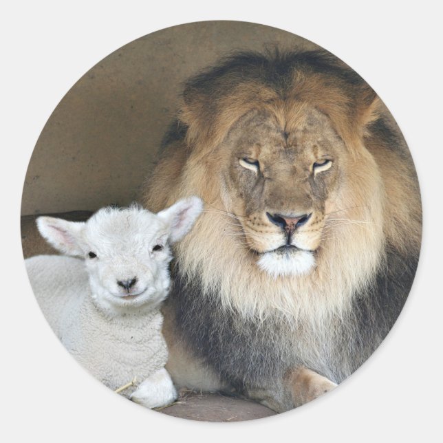lion and lamb sticker (Front)