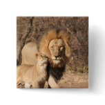 Lion and Lion Cub Button