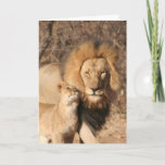 Lion and Lion Cub Greeting Card