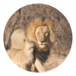 Lion and Lion Cub Sticker