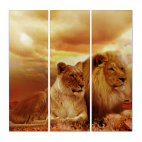 Lion and Lioness AcryliPrint&#174;HD Triptych Wall Art