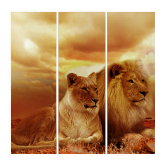 Lion and Lioness AcryliPrint®HD Triptych Wall Art