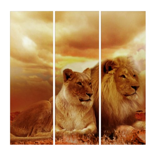 Lion and Lioness AcryliPrintHD Triptych Wall Art