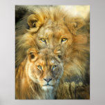 Lion And Lioness-African Royalty Art Poster/Prinr Poster