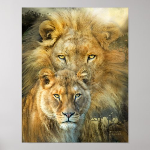 Lion And Lioness_African Royalty Art PosterPrinr Poster