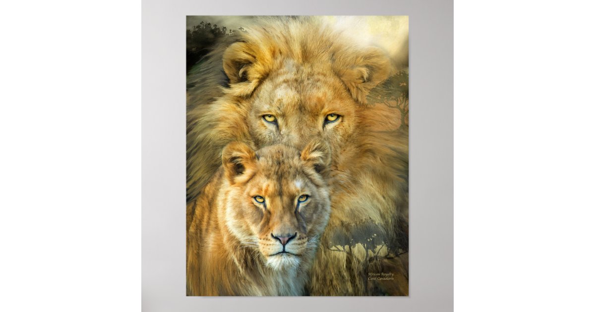 Lion And Lioness African Royalty Art Poster Prinr Poster Zazzle Com