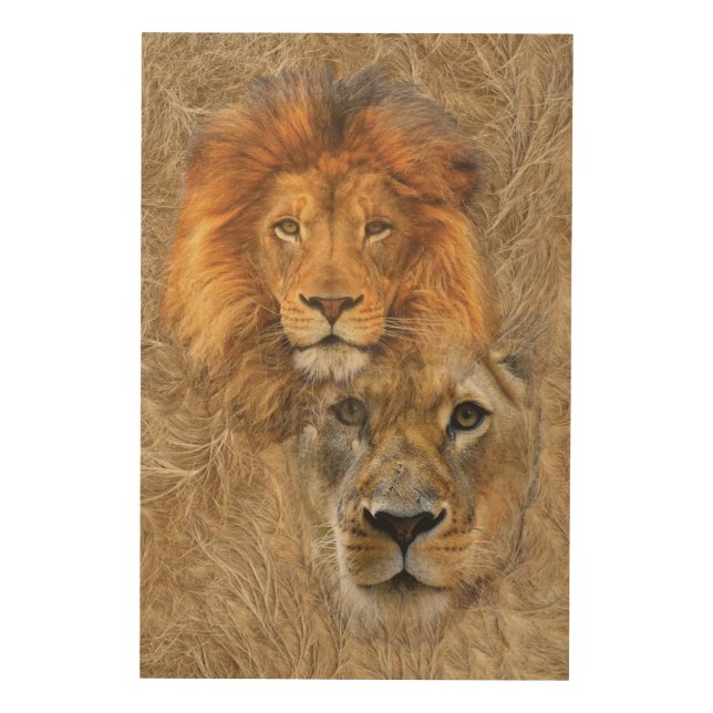 Lion and Lioness from Africa Wood Wall Art (Front)