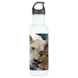 Lion and Lioness Nuzzling Stainless Steel Water Bottle