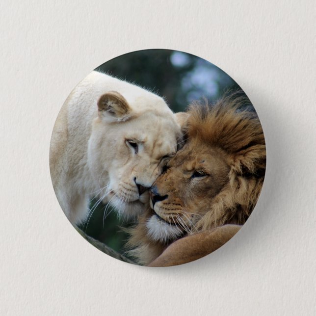 Lion and Lioness Pinback Button (Front)