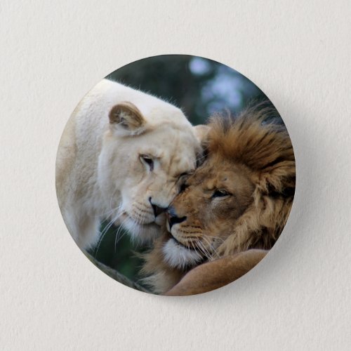 Lion and Lioness Pinback Button