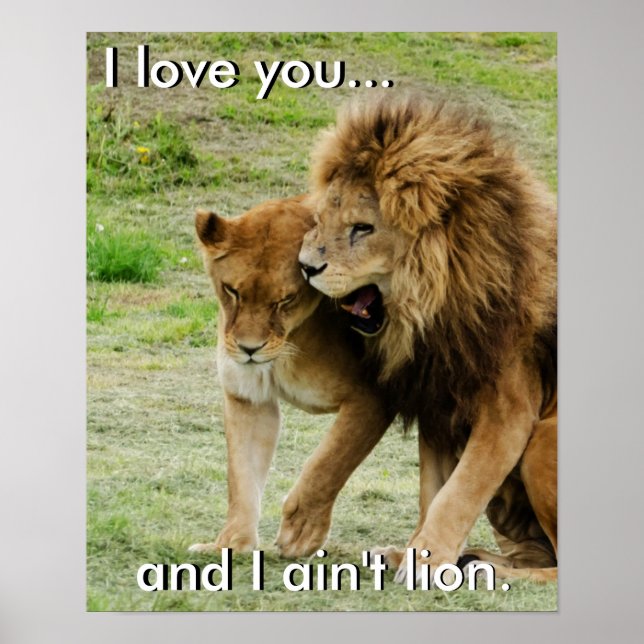 Lion and Lioness Poster (Front)