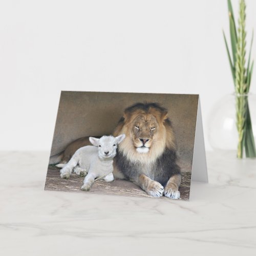 Lion and the lamb card