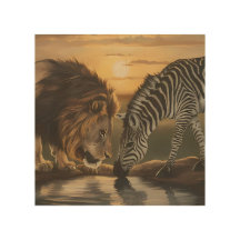 Lion and zebra