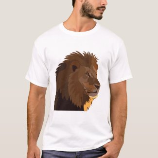 Lion Animal Wildlife