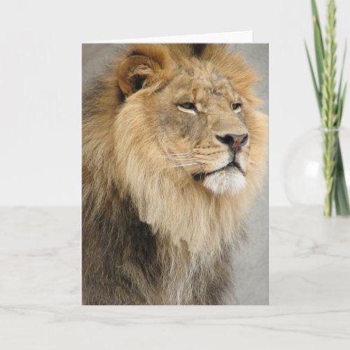 lion art card