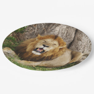 Lion at Maasai Mara 1 Paper Plates