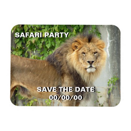 Lion at Maasai Mara 2 Save_the_Date Magnet