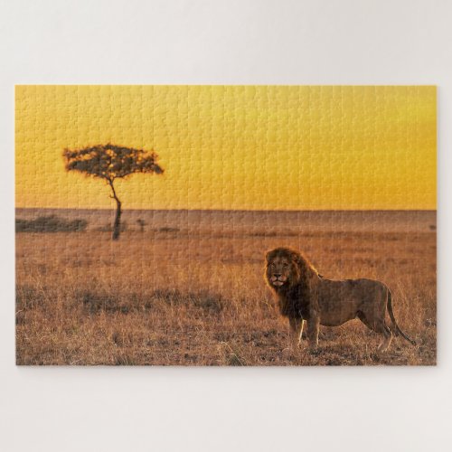 Lion At Savannah Jigsaw Puzzle