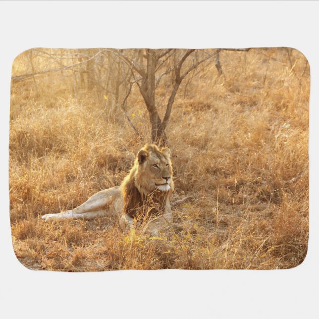 Lion Baby Blanket (Horizontal)