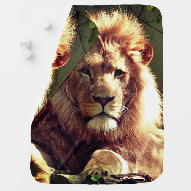 Lion Baby Blanket (In Situ)