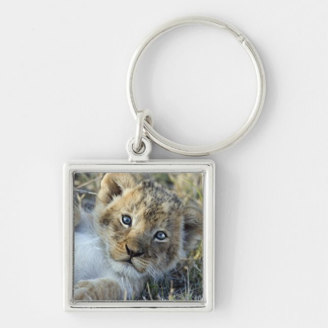 Lion Baby Keychain (Front)