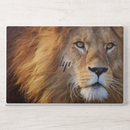 Lion Background HP EliteBook 850 G5G6 HP Laptop Skin